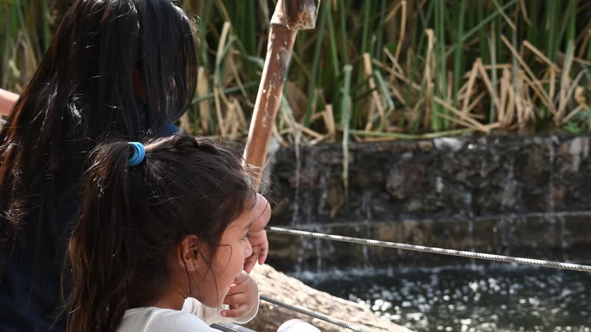 Latina girls watching animals in nature