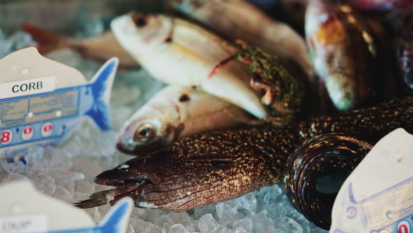 Different fish species laid on crushed ice, with price tags partially visible
