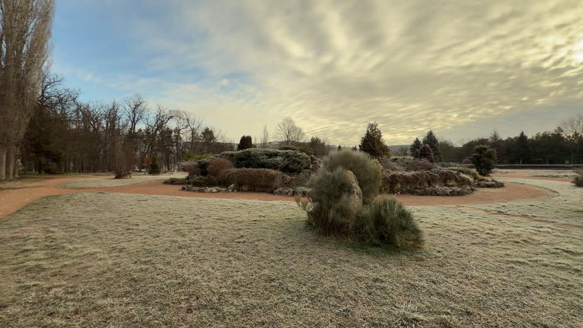 Frost-covered grass and evergreen trees sparkle under a dramatic, cloudy sky. This peaceful winter scene in Salgirka Park evokes a sense of quiet wonder and crisp, morning serenity.
