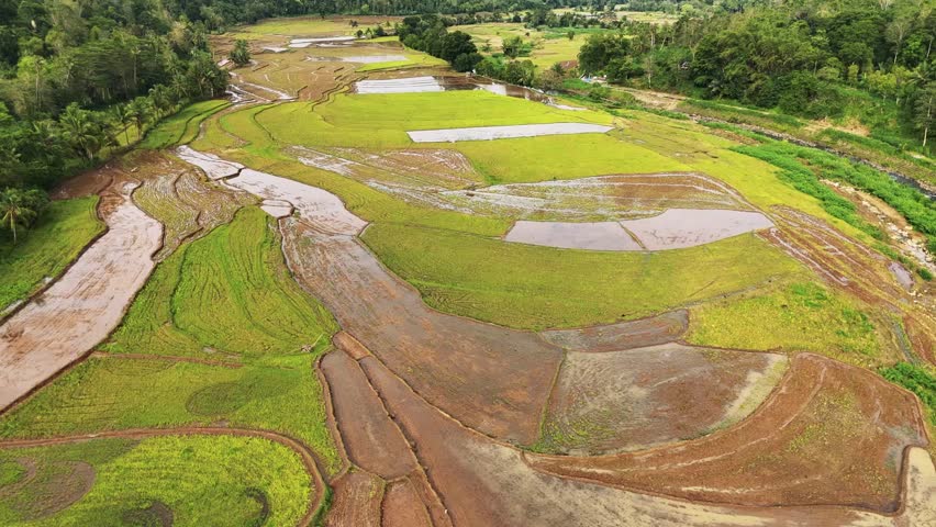 Beautiful aerial perspective of traditional terraced rice paddies and agricultural land in a rural mountain setting.