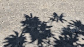 Tree Leaf Shadows on Gray Hexagonal Paving Block Floor During Sunny Day. - Powered by Shutterstock - Get 15% off with code: PIKWIZARD15