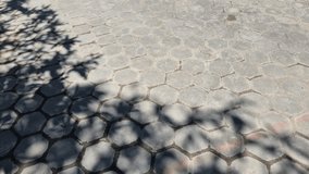 Tree Leaf Shadows on Gray Hexagonal Paving Block Floor During Sunny Day. - Powered by Shutterstock - Get 15% off with code: PIKWIZARD15