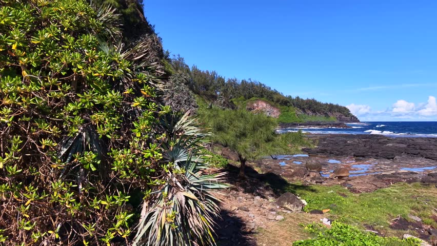 Steep hillside slopes down to rocky shore. Dense greenery covers the hillside. Shallow pools form between the rocks. Bright blue sky above the ocean. Sunlight glints on the waves