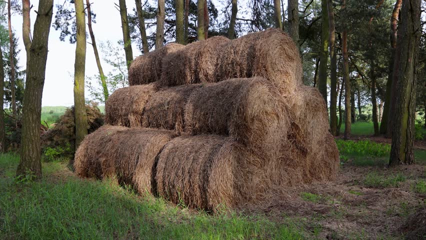 Stack of straw bales in Polish countryside, Mazowsze region of Poland, 4k