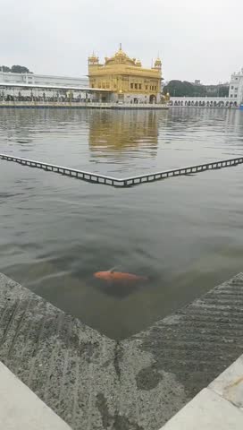 Beautiful view of Golden Temple - Harmandir Sahib in Amritsar, Punjab, India, Famous indian sikh landmark, Golden Temple, the main sanctuary of Sikhs in Amritsar, India