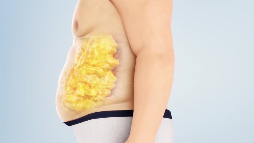 Man getting fat and gaining weight, junk food and overeating leading to obesity, excess fat, from slim figure to overweight figure, Obesity animation, Alpha channel. 3D animation.