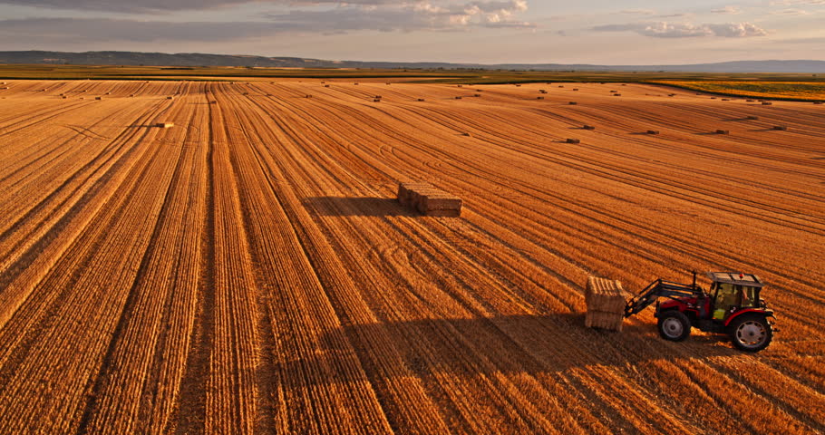 Aerial view of a tractor loading and transporting hay bales across a vast agricultural field
