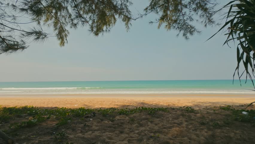 Stunning tropical beach with white sand and turquoise water framed by overhanging trees. Calm waves and serene surroundings create a perfect paradise travel scene