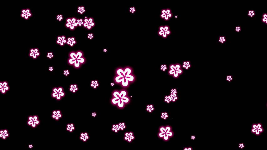 flowers pink pattern celebration black background