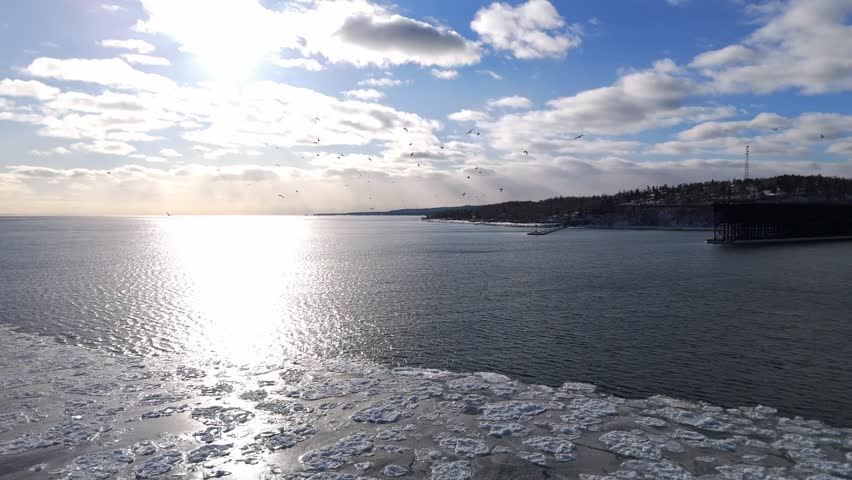Group of birds flying over frozen lake with beautiful ice formations in Lake Superior, North Shore, Two Harbors Minnesota during winter afternoon