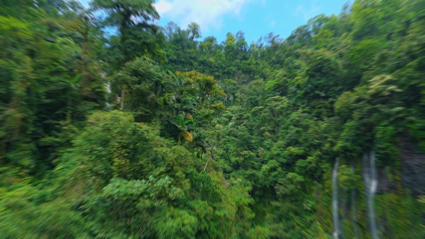 Drone footage reveals stunning tall waterfall plunging down steep rocky cliff face surrounded by lush green tropical rainforest canopy in Costa Rica