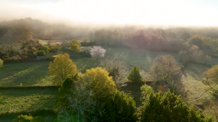 Scenic aerial footage flying over a misty rural landscape with green fields and trees at sunrise