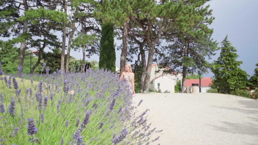 Blonde woman in summer dress walking outdoors in nature touching lavender flowers in Imotski Croatia.