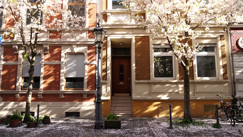 Bonn, North Rhine-Westphalia, Germany. Facade of a residential building in the historic old town of Bonn during springtime. White cherry blossoms bloom in front of the house, while warm sunlight gently highlights the texture of the building. Charming historic architecture, peaceful atmosphere, and seasonal beauty in an urban European setting.