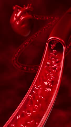 Conceptual 3D art depicting the dangers of junk food, soda, and alcohol consumption, showing clogged arteries, restricted blood flow, increased heart disease risk, and critical vascular health issues. 3D rendering.

