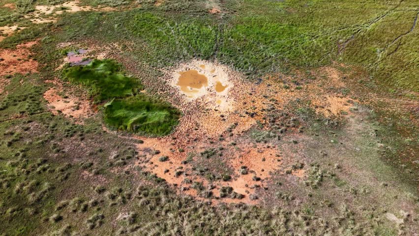 Top down view wetland marsh from above showing mud pools, grass tussocks, wet soil and vegetation patterns.
