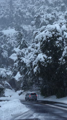 Snow covered forest road winding through Yosemite National Park pines heavy with fresh snow, misty blue light, wet asphalt reflecting dim sky, single car navigating slick curves, banks of snow lining.