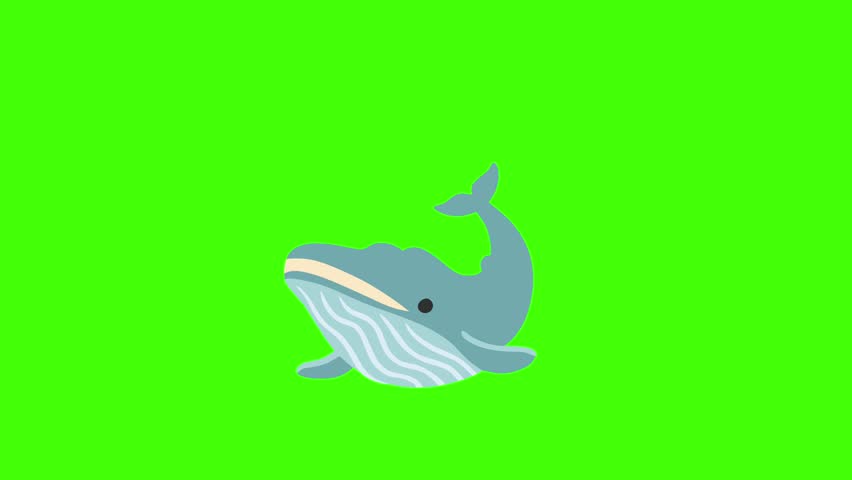 Cute Cartoon Whale Spouting Water on Green Screen Background