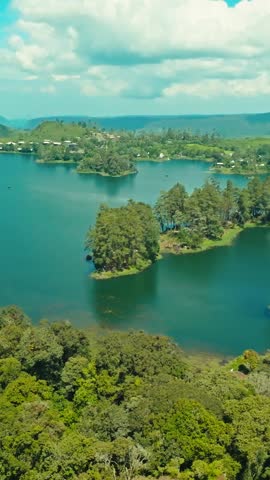 Curved Lake Shoreline with Forest Aerial View