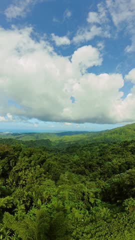 Cinematic drone footage of the lush green limestone hills and rugged Atlantic coastline in northern Puerto Rico. High angle view of tropical greenery meeting the deep blue ocean waves. Rainforest.