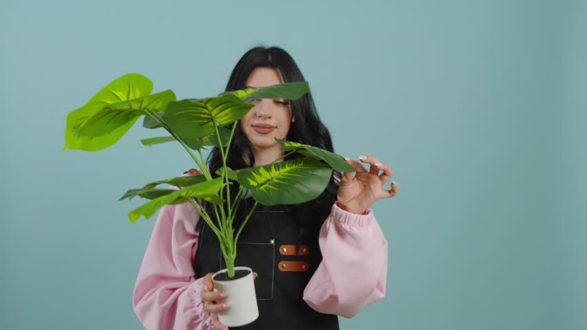 Young woman in black apron holding and touching a green houseplant