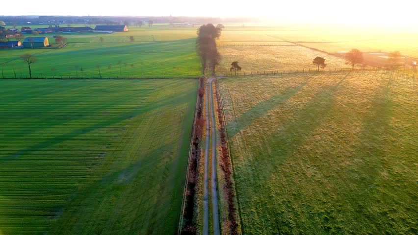 Cinematic Aerial Drone Footage Rising Over a Rural Path in Belgian Farmland During a Golden Sunrise