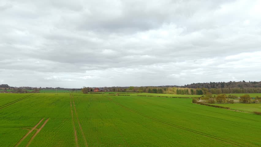 Green wheat field stretching across farmland under dramatic cloudy sky with distant farm buildings on horizon. Spring agriculture landscape with fresh crop rows and tractor tracks across rolling