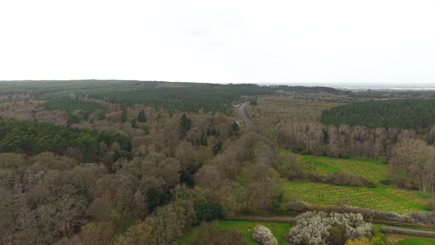 Winding road with car crossing dense forest and mixed woodland under grey cloudy sky. Natural landscape with green conifer trees and bare deciduous forest forming textured terrain. Countryside