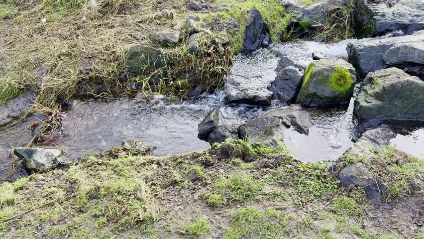 Stream water flowing over rocks and sparse grass in a natural outdoor landscape