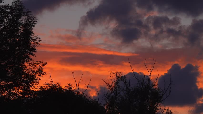 A cinematic view of vibrant orange clouds moving across the sky during sunset, passing over the dark silhouettes of treetops in a peaceful forest landscape.