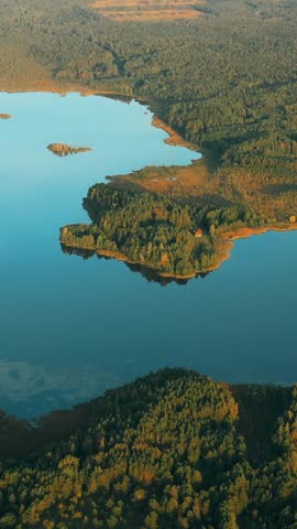 Green Coniferous Forest Growing On Lake Coastside Aerial View Of Lakes Rivers Coast And Countryside Landscape. Pines In During Sunset Summer. Woods