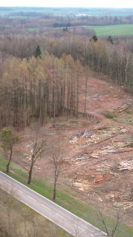 High angle aerial shot showing a cleared forest area with cut logs and timber next to a country road. Ideal for environmental, industrial, and forestry themes.