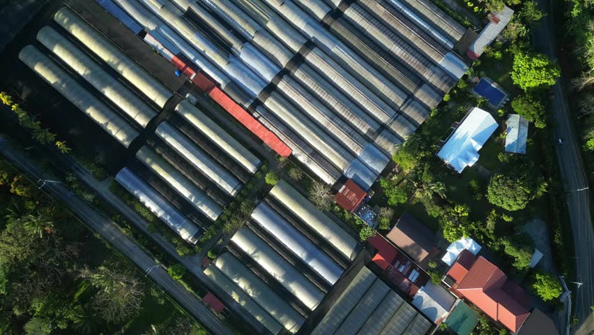 Forward-moving aerial shot approaching a calm residential subdivision with sunlit homes and green landscape at Camella Homes Alfonso Cavite Philippines