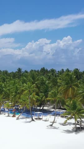 Caribbean seashore with coconut palm trees and azure tropical sea. Beautiful travel destination. Aerial above view. Vertical footage
