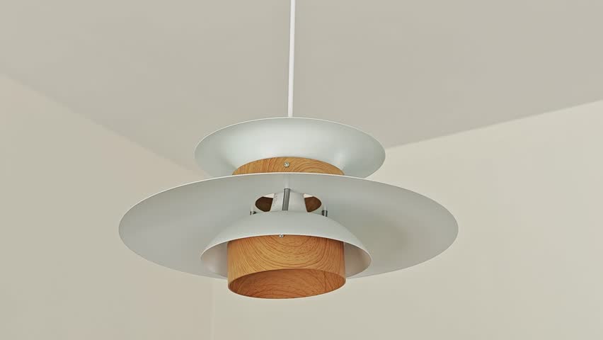 Decorative ceiling lamps for the room