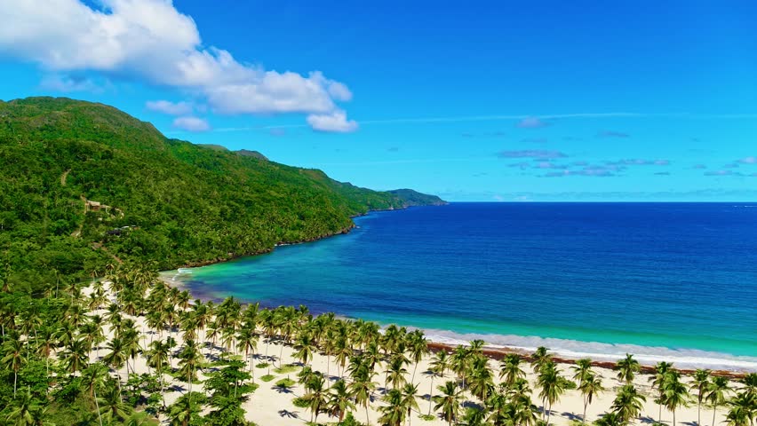 Stroll along a tropical natural sandy seashore. Palm trees, blue ocean, and natural scenery. Paradise beach, aerial view. Summer landscape of tropical palm beach from a bird