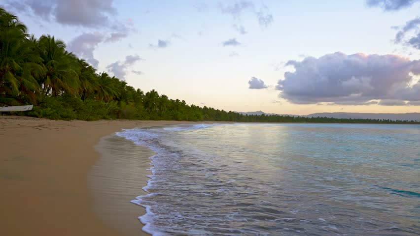 Coconut palms with long green leaves on the yellow sand of a tropical beach. Clear, transparent sea waves under a cloudy sky early in the morning. A romantic Caribbean getaway.