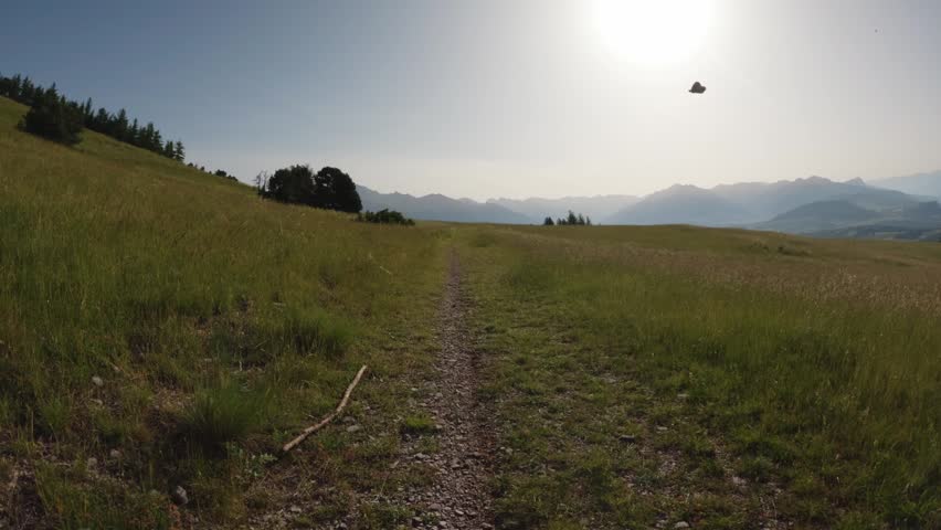 Scenic hiking trail crossing a sunny mountain meadow with distant alpine peaks in bright backlight, ideal for travel, wellness, and outdoor adventure themes.