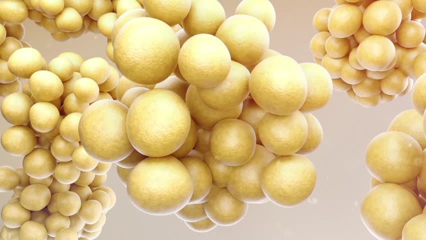 Increased fat cells. Man getting fat and gaining weight, junk food and overeating leading to obesity, excess fat, from slim figure to overweight figure, Obesity animation, 3D rendering.