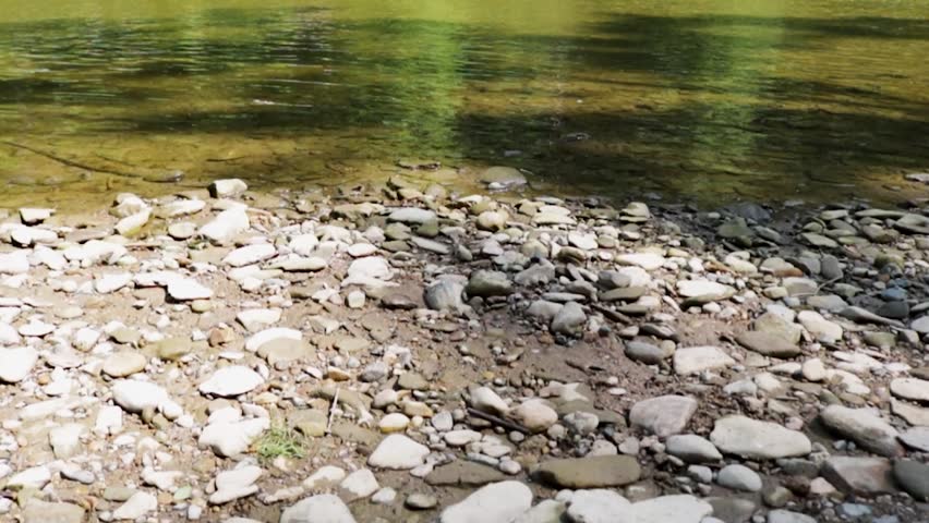 River Rocks on the edge of a stream