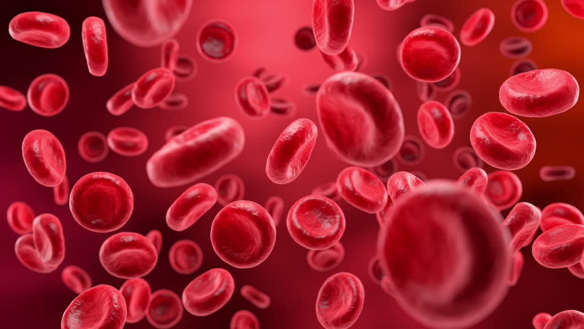 Red Blood Cell in an artery, Blood Flow, medical human health-care Concept Background.