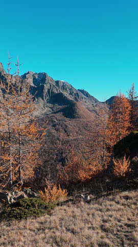 Stunning autumn mountain landscape under clear blue sky