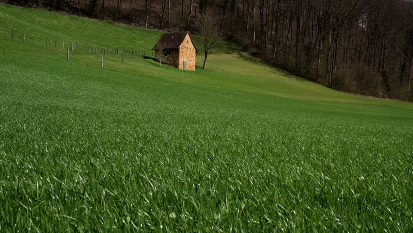 Lonely Rustic Stone Cottage in a Lush Green Meadow near a Dense Spring Forest