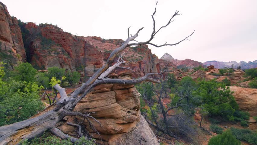 Footage capturing the breathtaking scenic landscape from the end of the Canyon Overlook Trail in Zion National Park, Utah. This popular, easy-to-moderate hike offers panoramic views of the main Zion C