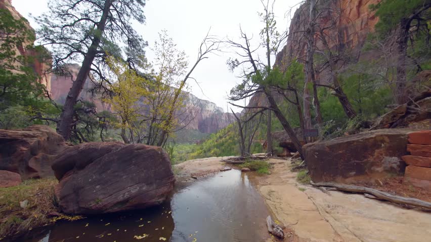 Footage capturing the serene natural beauty of the Middle Emerald Pools trail in Zion National Park, Utah. The scene features a small stream of water flowing over smooth rocks, surrounded by lush vege