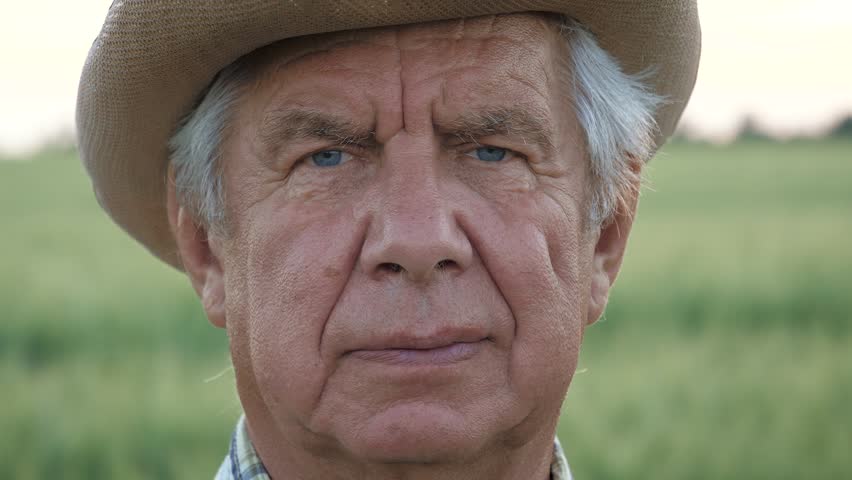Closeup tanned senior farmer portrait weathered face in sunlit field. Old man wearing cowboy hat and plaid shirt, stoic gaze, deep wrinkles and calm expression conveying decades of rural labor