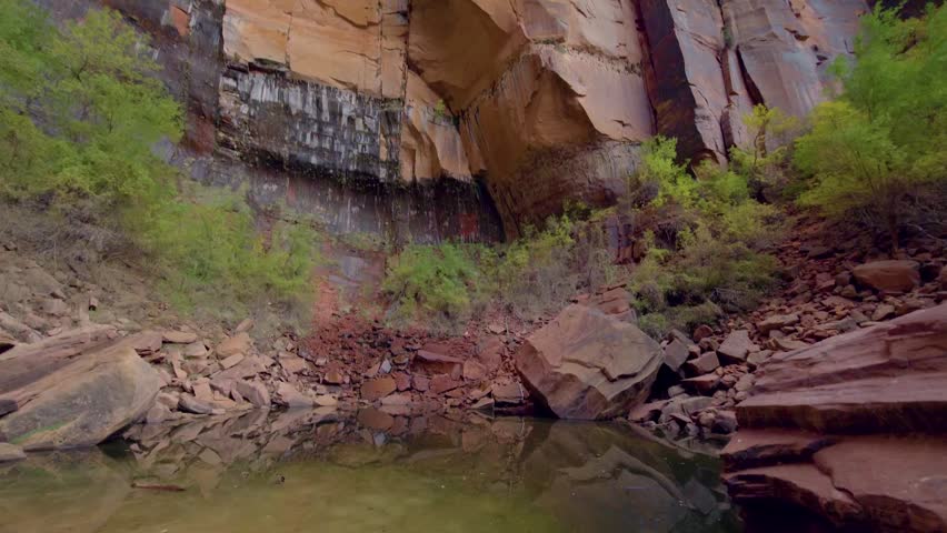Footage captures the tranquil beauty of the Upper Emerald Pool in Zion National Park, Utah. The scene features calm, reflective water at the base of a massive, sheer sandstone cliff face. Lush green v