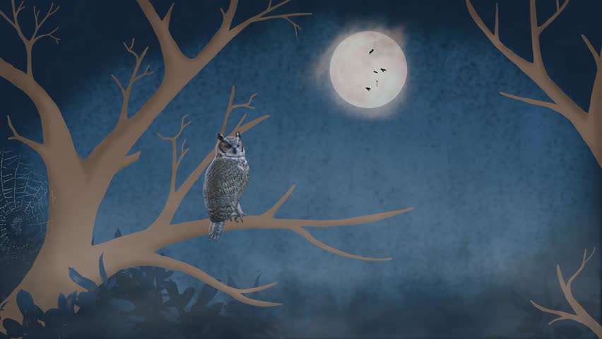 Night forest scene with owl on branch, full moon glowing and birds flying in misty sky