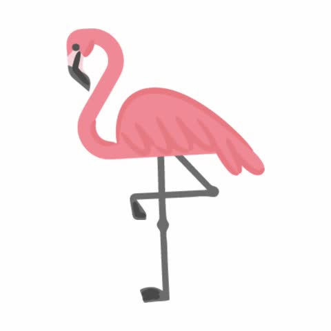 Animated cartoon pink flamingo standing on one leg in simple flat illustration style