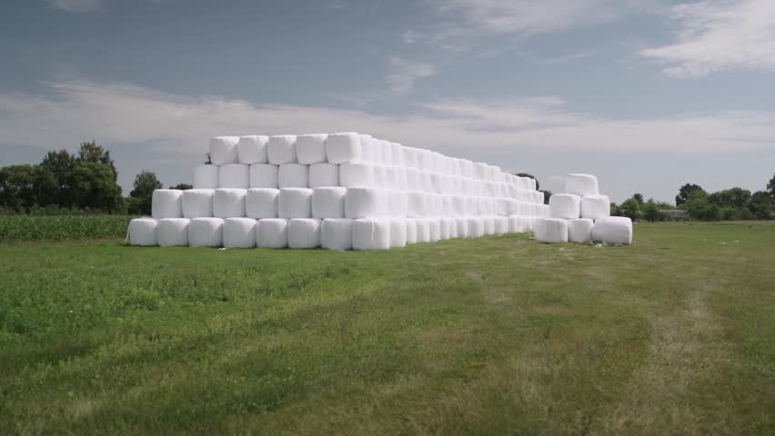 Stack of Wrapped Silage Bales on Green Field
Stacked white wrapped silage bales placed on green agricultural field. Modern livestock farming and forage storage concept.